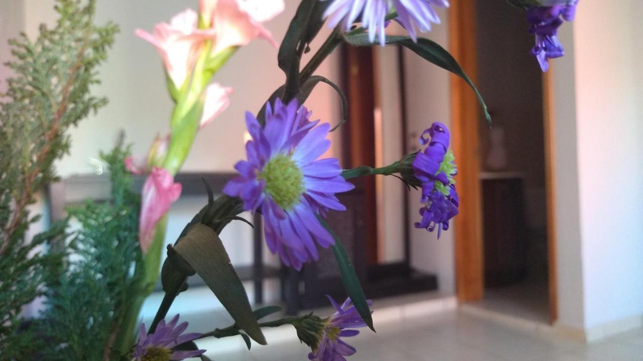 Hotel Kinich Ahau Valladolid  Dış mekan fotoğraf
